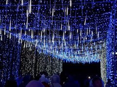 -长春公园(普阳街道)