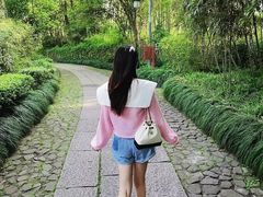 -法云安缦酒店
