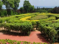 -铁山坪森林公园