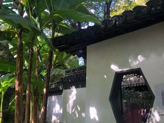 -秋霞圃
