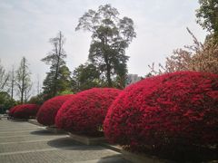 -成都南湖公园