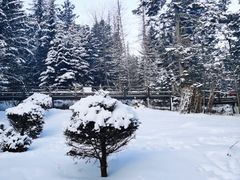 -亚布力新体委滑雪场