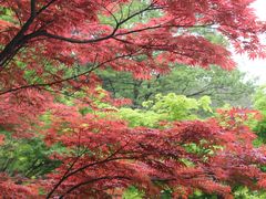 -镇江市南山风景名胜区竹林景区