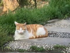 -狼山风景名胜区