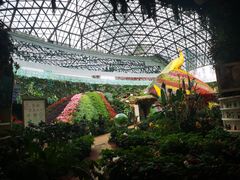 -花之城