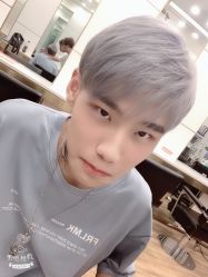 -YESIDO椰岛造型