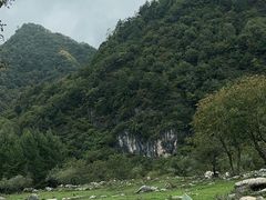 -狮子沟牧场