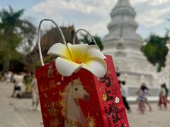 -西双版纳傣族园