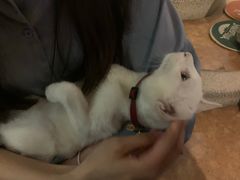 -逃脱反斗城沉浸剧情密室(北京路店)