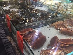 -渔傅·蓝海岸霞浦海鲜(正祥店)