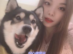 -逗柴咖啡屋·狗咖猫咖宠物桌游