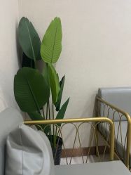 -坤如玛丽·医疗美容中心
