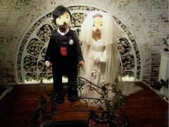 -济州岛泰迪熊博物馆