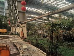 -御龙温泉度假村