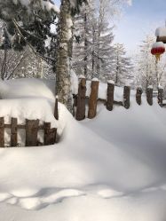 -大秃顶子山