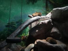 -福州罗源湾海洋世界旅游区