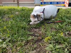 -哈尔滨师范大学(松北校区)