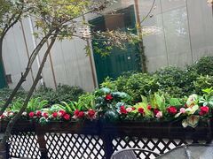 -宝荣鱼馆·临湖之宴(千岛湖店)