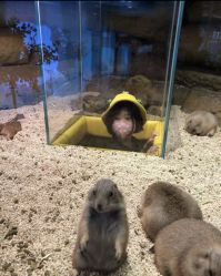 -Mr·Kuma酷么先生雪之乐园