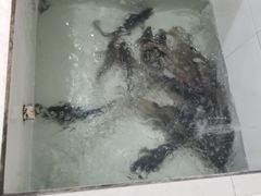 -贡椒鱼老店·雅安十大名店