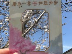-鸡鸣寺