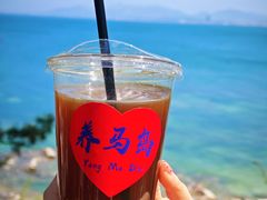 -养马岛旅游度假区