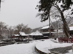 -晋祠公园