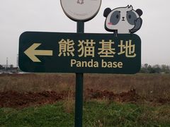 门面-成都大熊猫繁育研究基地