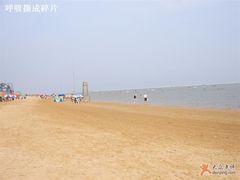 -碧海金沙
