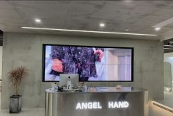 -ANGELHAND