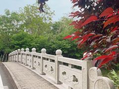 -同里国家湿地公园