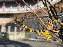 -南京市江宁方山