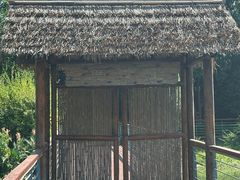 -菲住布渴酒店自助餐厅(阿里巴巴西溪园区店)