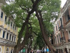 -星巴克臻选(广州沙面店)