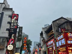 -黑色经典臭豆腐·湖南特产(坡子街店)