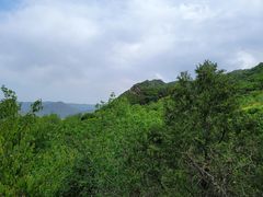 -阳台山自然风景区