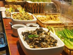 -齐河孔雀王温泉酒店·金孔雀自助百汇
