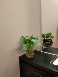 -史云逊养发护发