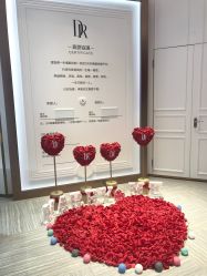 -DR钻戒(杭州星光大道店)