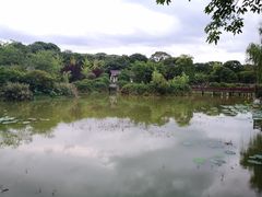 -新繁老號豌豆汤饭店·江湖菜(宝光寺店)