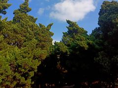 -八大关景区