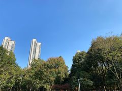 -后襄河公园