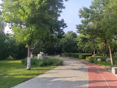 -绿岛公园(滨海新区)