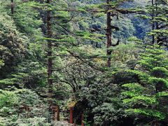 -瓦屋山景区