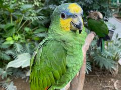 -南宫五洲植物乐园