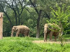 -北京野生动物园