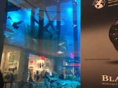 -迪拜水族馆及水下动物园