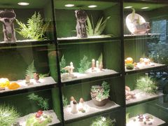 -慢丽江·云南野生菌土鸡锅(西山店)