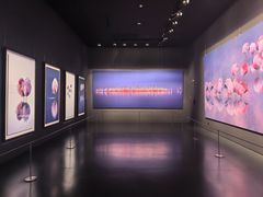 -罗红摄影艺术馆