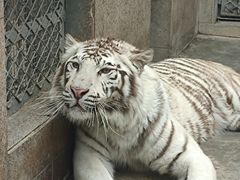 -西安秦岭野生动物园